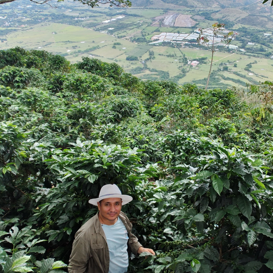 Colombia Luis Carlos Gutierrez Filter